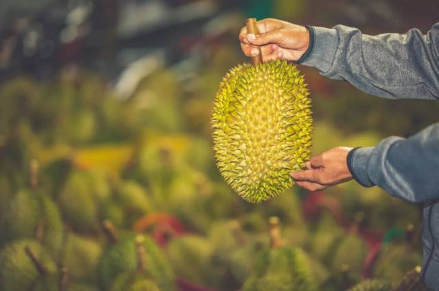 “身材”匀称才是好榴莲。