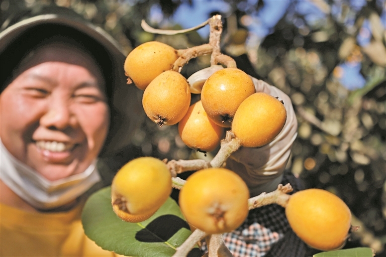 增城区畲族村一景