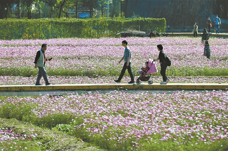 王子山下的美景