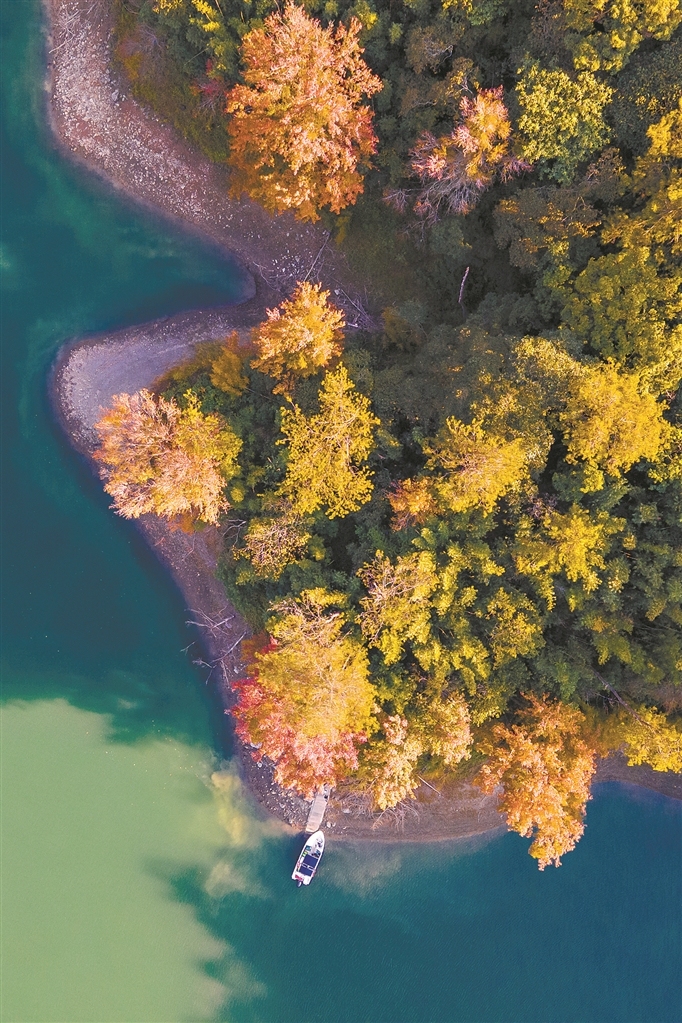 流溪河畔的山间红叶