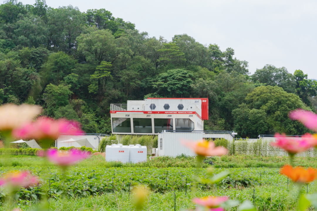 极飞“超级农场”(受访者供图)