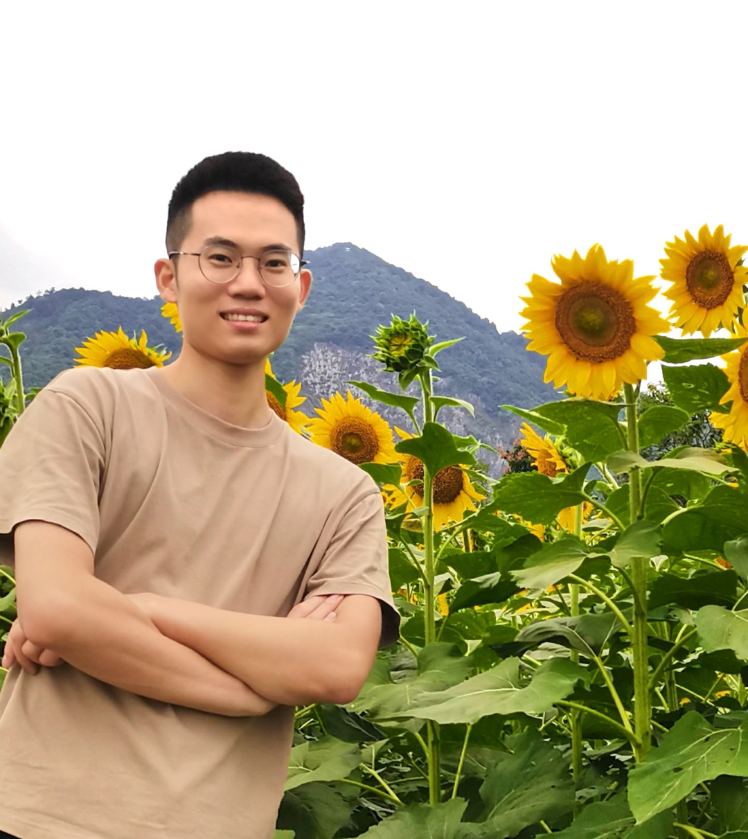 网易“盈虚” 网易“盈虚”