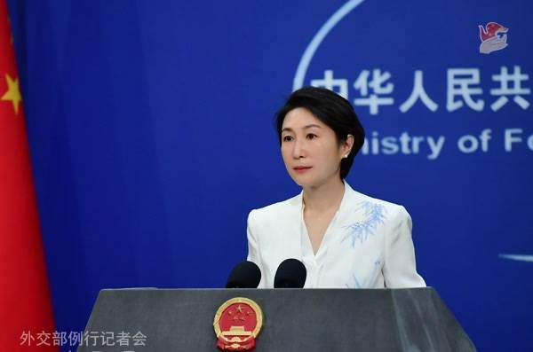 毛宁资料图。图源：外交部网站