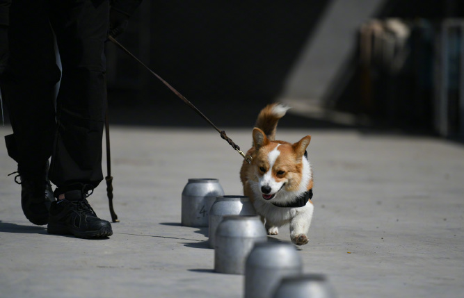 1717061413359.jpg 1717061413359.jpg