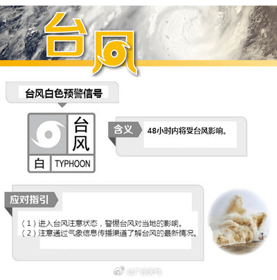 1717066885320049279.jpg 1717066885320049279.jpg