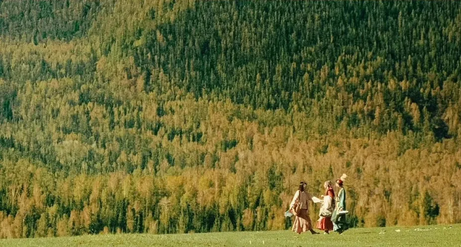 1717317029567.jpg 1717317029567.jpg