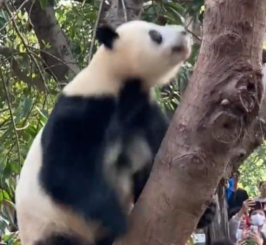 1717422686944.png 1717422686944.png