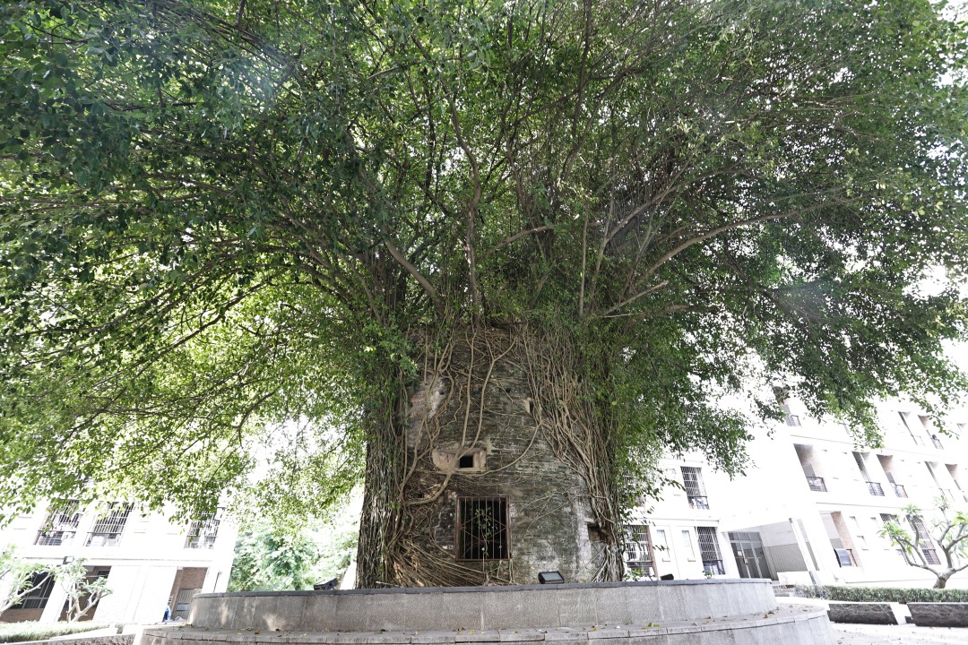 高鹤涛-刘永福营盘碉堡遗址 (3)-FZ100412083706.JPG 高鹤涛-刘永福营盘碉堡遗址 (3)-FZ100412083706.jpg