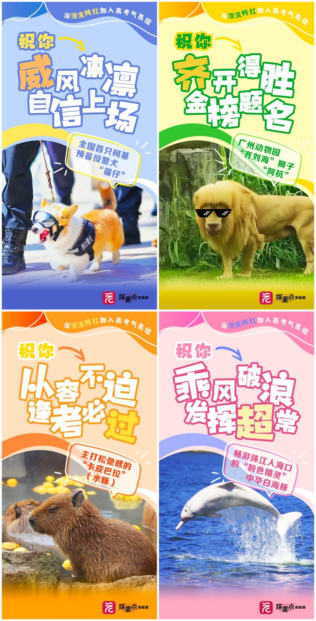 稿定设计导出-20240606-090424