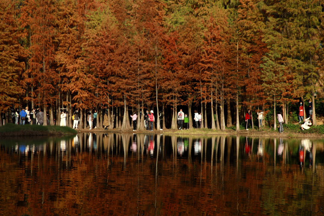 骆昌威-_CW_0281-FZ10029498532