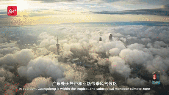 南方+ 张梓望 拍摄