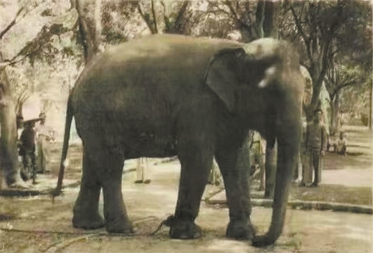 12115420_huangwx_1718113129210_s