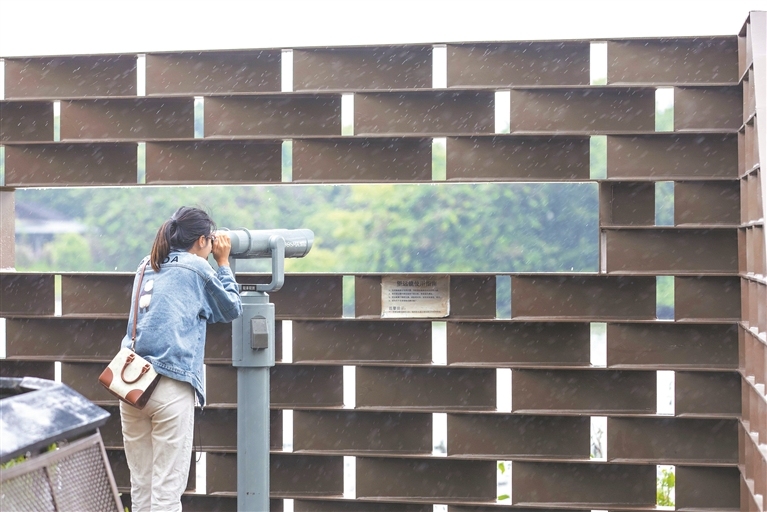 12108390_xiaohong_1718027869157_s