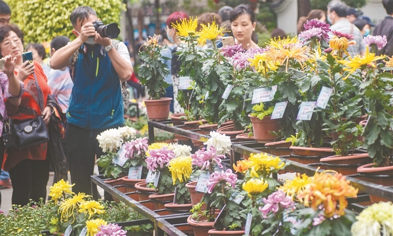 12115110_oujy_1718112702223_s