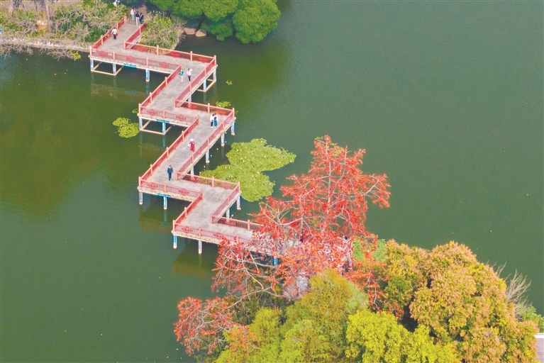 12108375_xiaohong_1718027668479_s