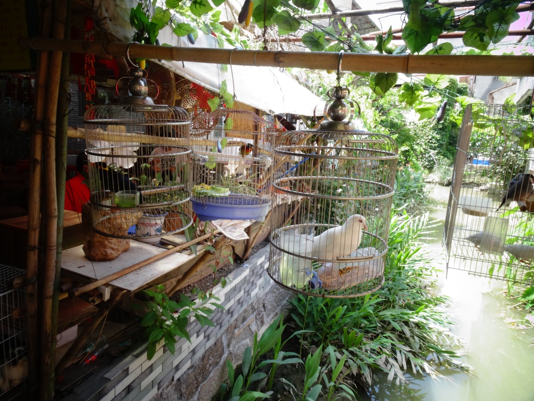 《笼》肖泽鑫.JPG 《笼》肖泽鑫.jpg