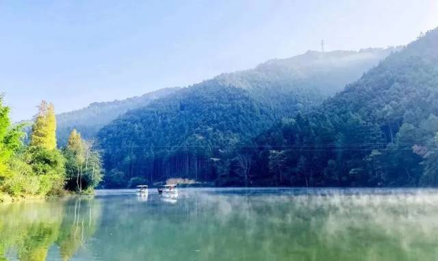 南雄帽子峰森林公园是天然的“中国森林氧吧”。 南雄帽子峰森林公园是天然的“中国森林氧吧”。