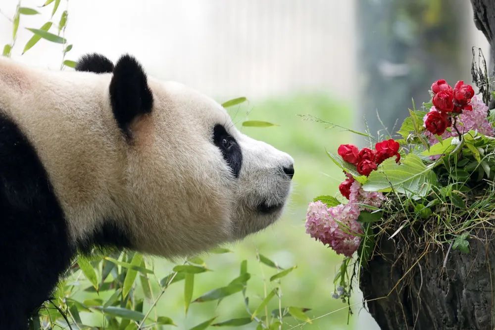 微信图片_20240612172229