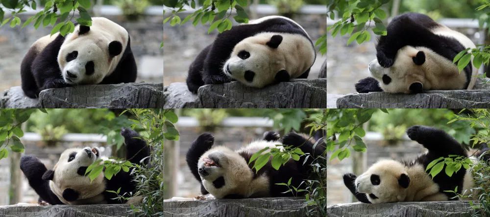 微信图片_20240612172237