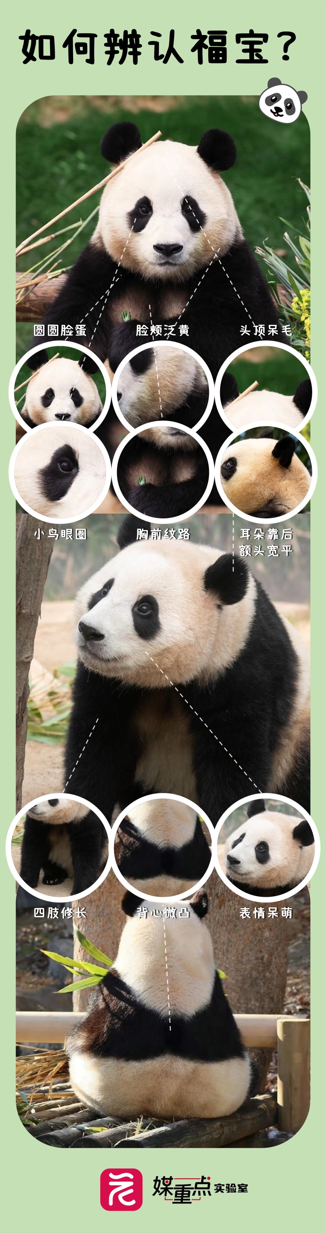 微信图片_20240612172057