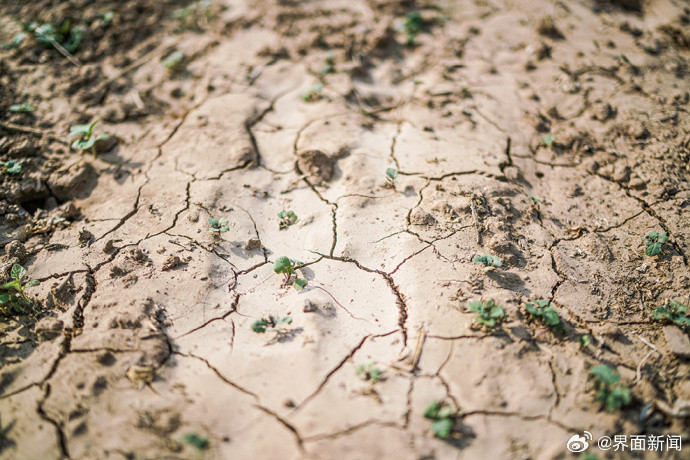 005EHRy1ly1hqr5h81wzlj60jg0cz43v02