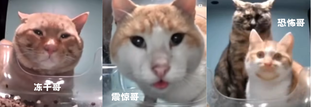 图片_20240620225503