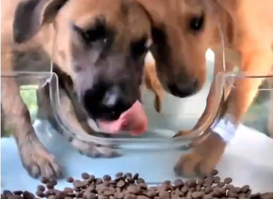 WeChat截图_20240620225647