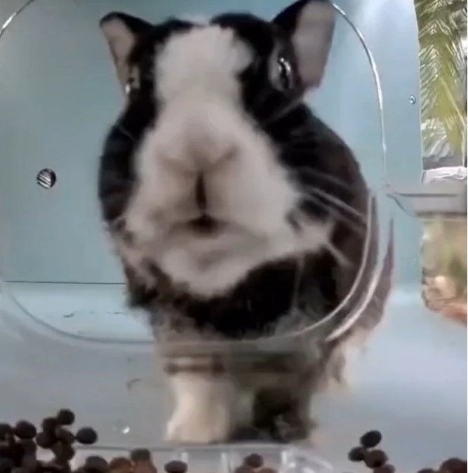 WeChat截图_20240620225658