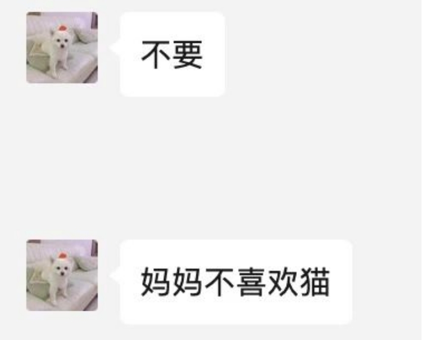 WeChat截图_20240620230027