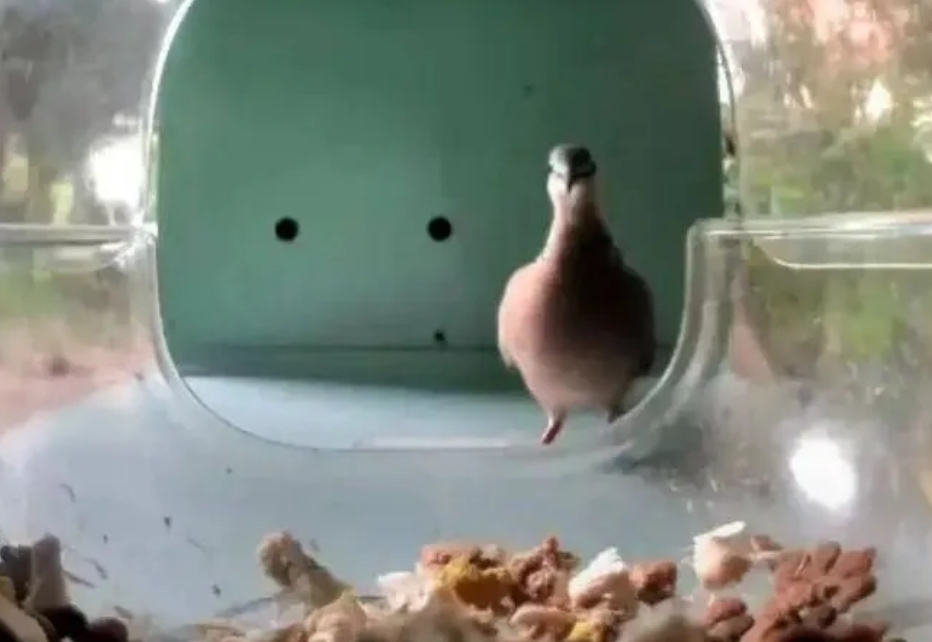 WeChat截图_20240620230501