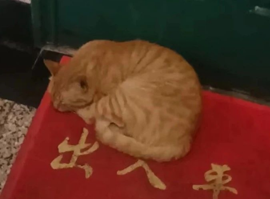 WeChat截图_20240620225856 WeChat截图_20240620225856