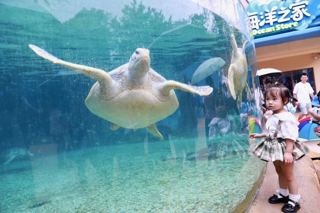 c435d81319fc489aa42f683e87c885e1