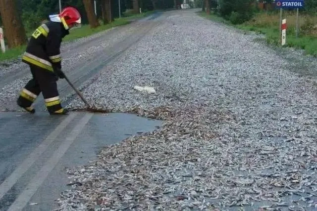 730e0cf3d7ca7bcb9832e629eb822c6ef724a887