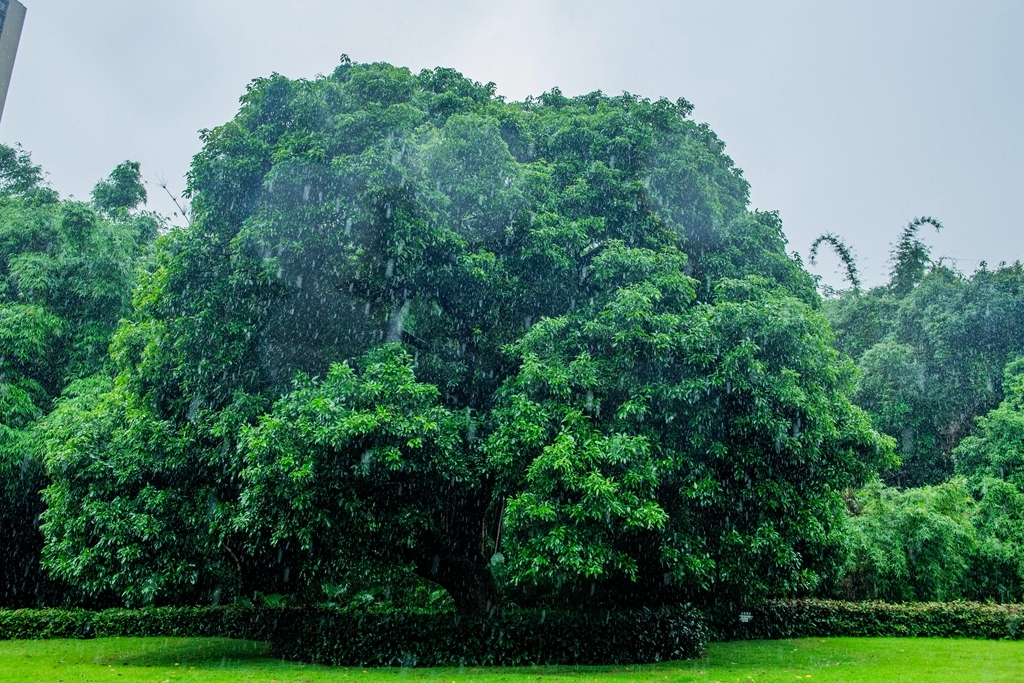 LMJ20240524-01_副本