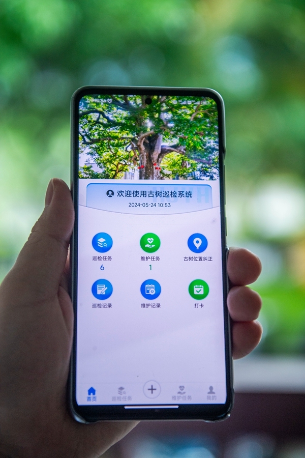 LMJ20240524-06_副本