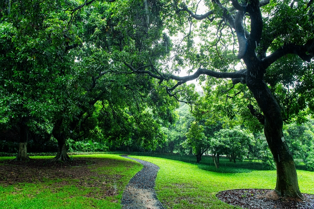 LMJ20240524-04_副本