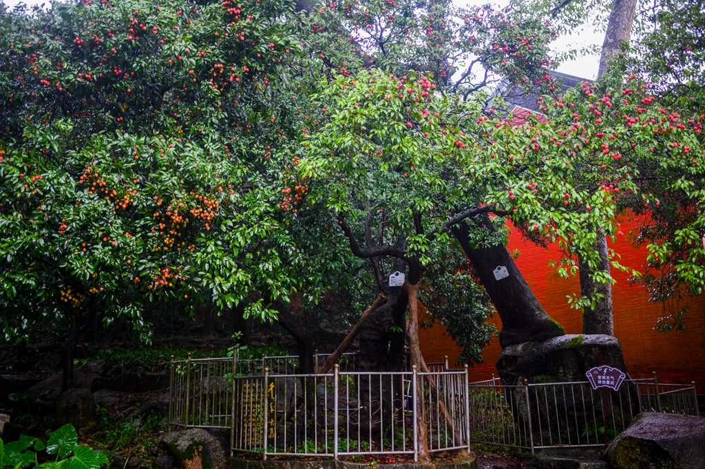 LMJ20240524-07_副本