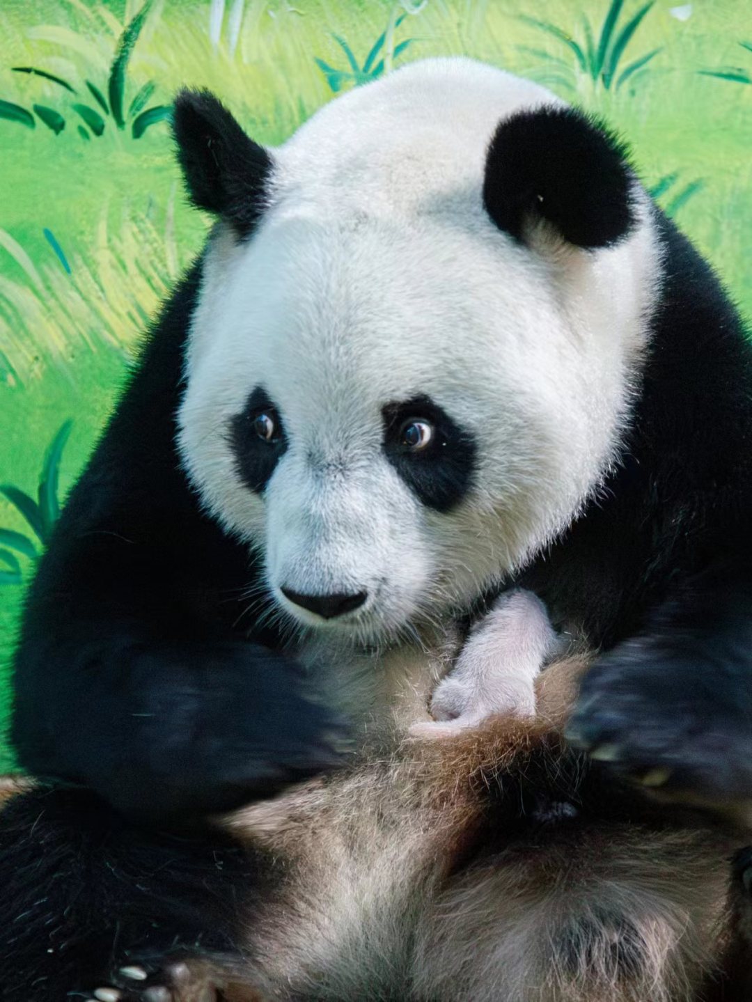 微信图片_20240702104731