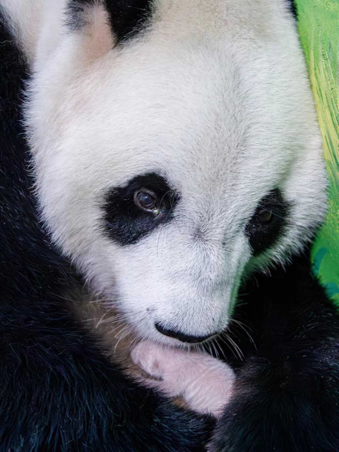 微信图片_20240702104721