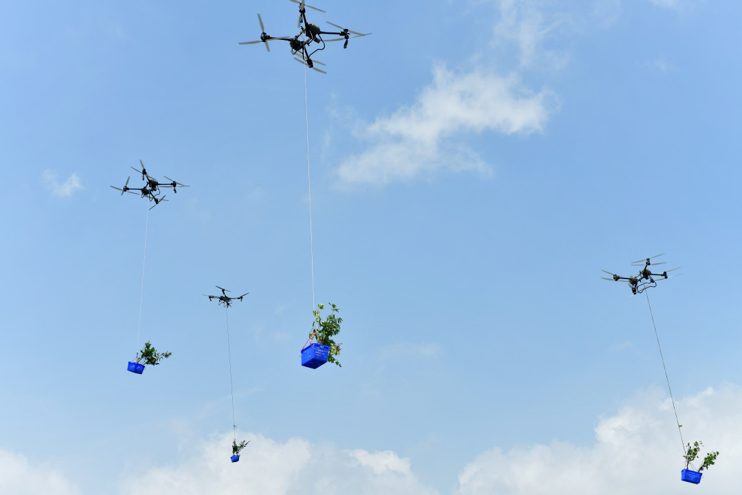 杨耀烨-YYY_9226-FZ100412231671