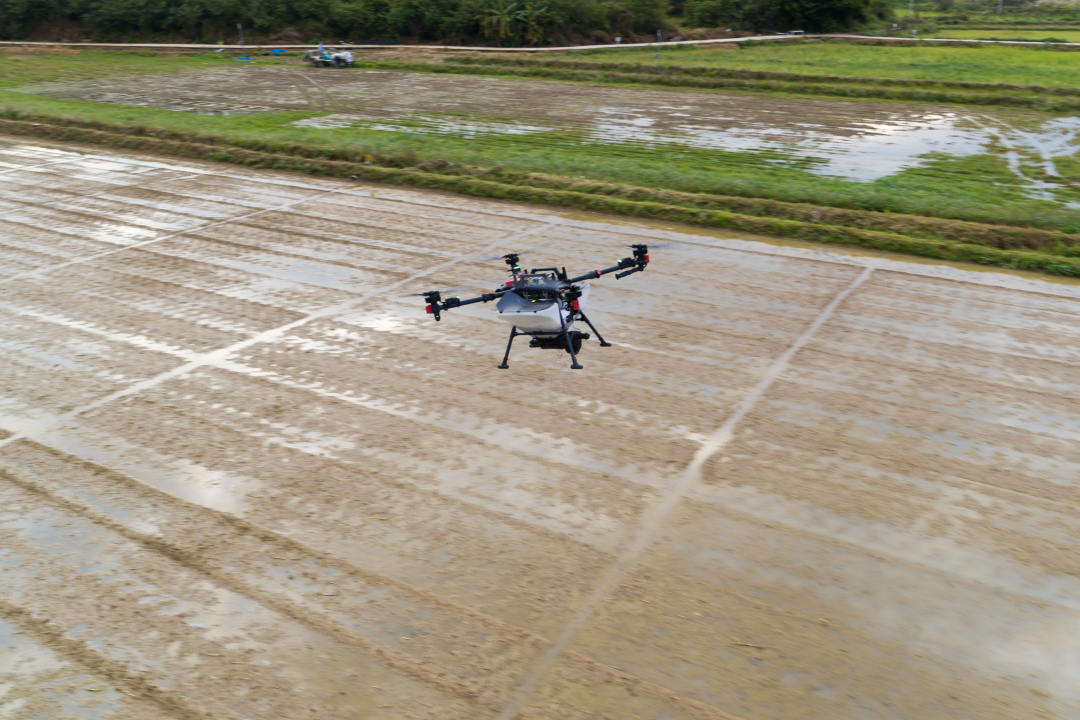 杨耀烨-DJI_0002-NEP1_20240704_C00412231646