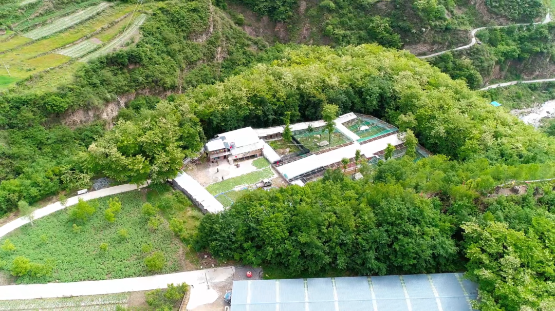 微信图片_20240706202923