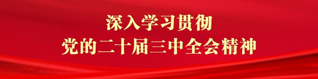 深入学习贯彻党的二十届三中全会精神