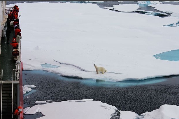 7427ea21096a1b4a70fc07