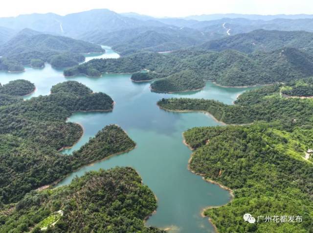 89e678afd1d4432d9832c8ff6d851c12