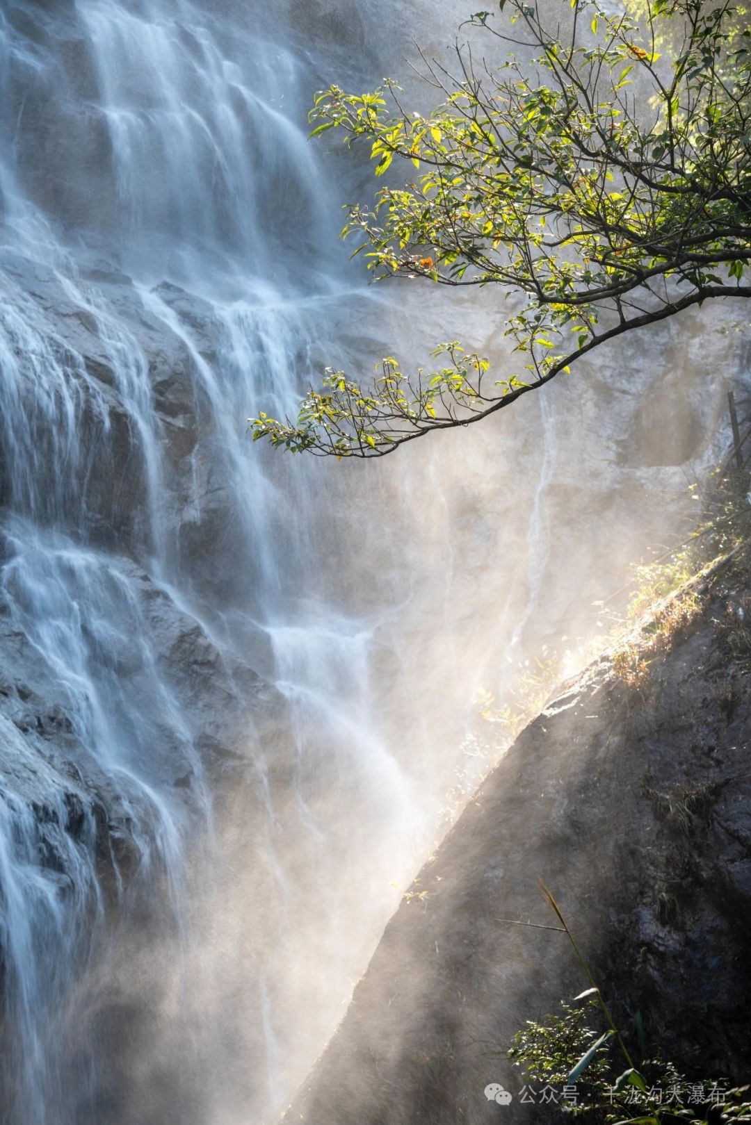 a7720a3634531edb5dccb2b235508a58.jpg a7720a3634531edb5dccb2b235508a58.jpg