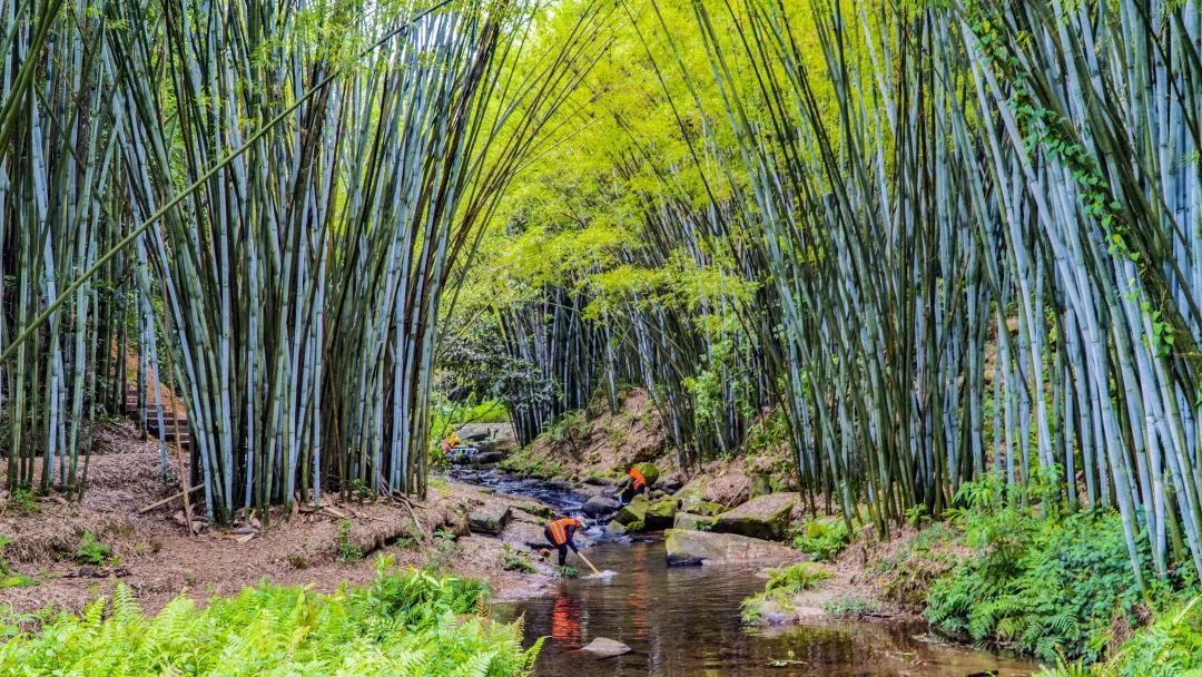 微信图片_20240723113552