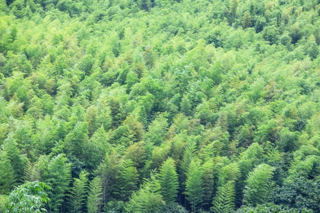 e4982e7ff83a1dd9dec6a0a83403feb8.jpg e4982e7ff83a1dd9dec6a0a83403feb8.jpg