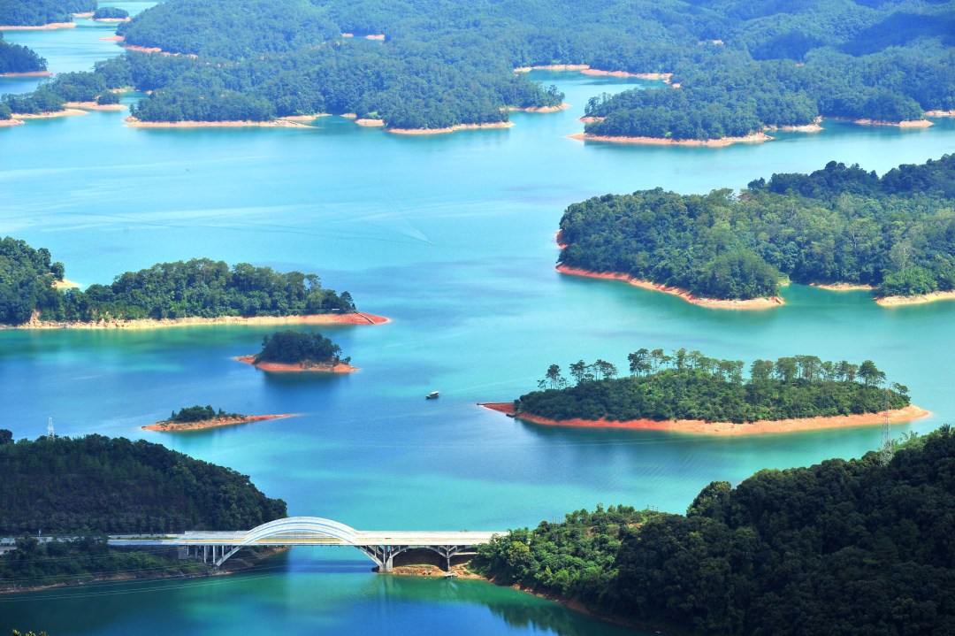 杨耀烨-2018年12月9日,广州打造出特色鲜明-NEP1_20240518_C00211998432