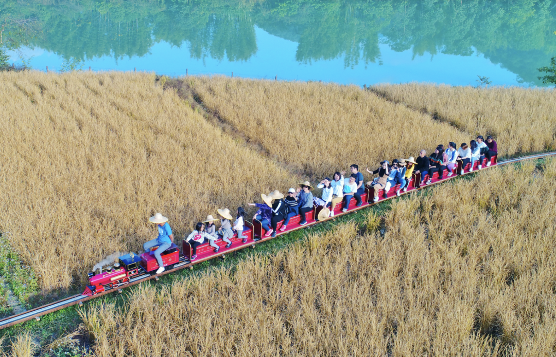 截屏2024-07-30 20.12.41.png 截屏2024-07-30 20.12.41.png